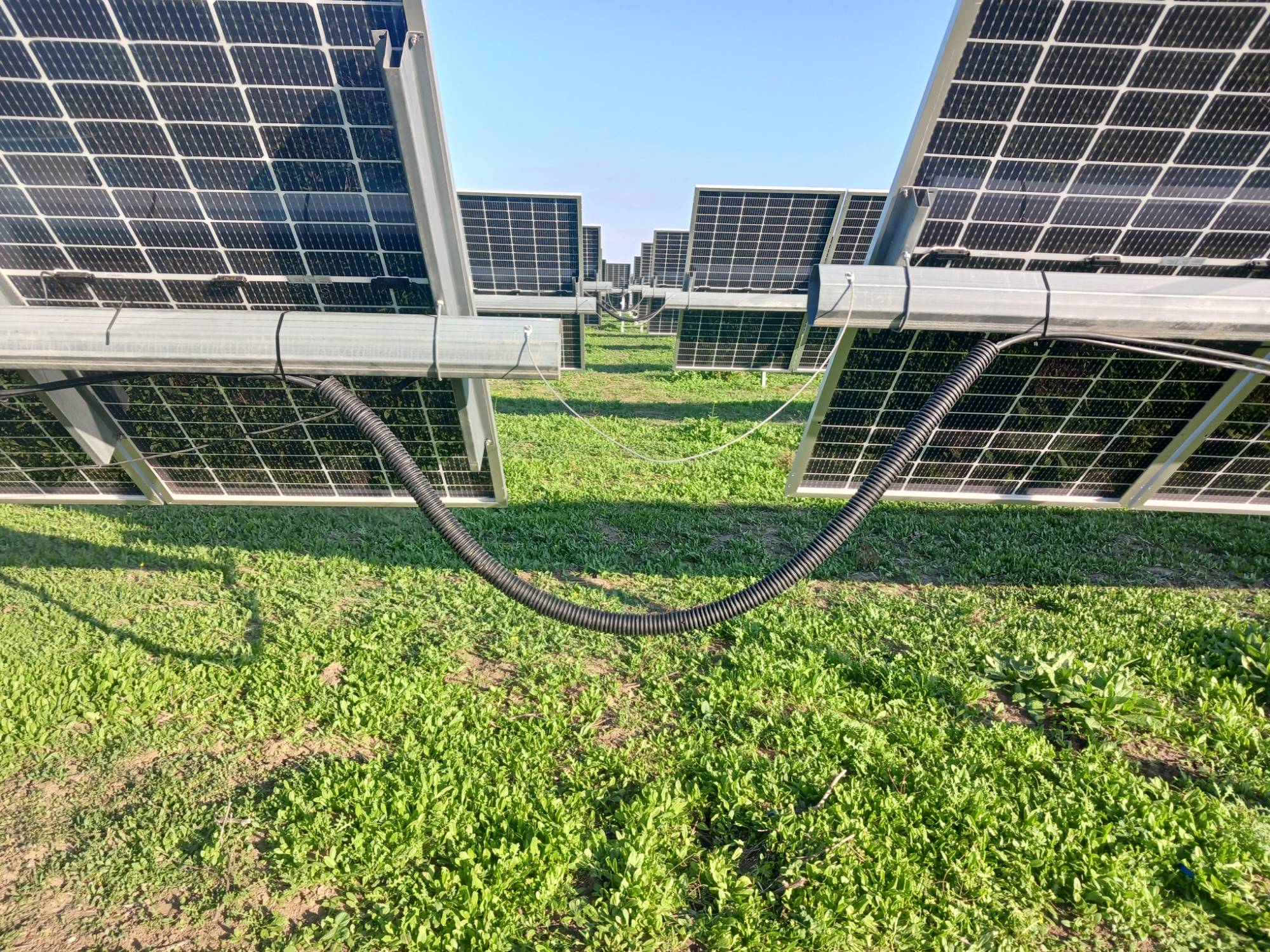 Foto 4 — PLANTA SOLAR FOTOVOLTAICA DON RODRIGO HIVE