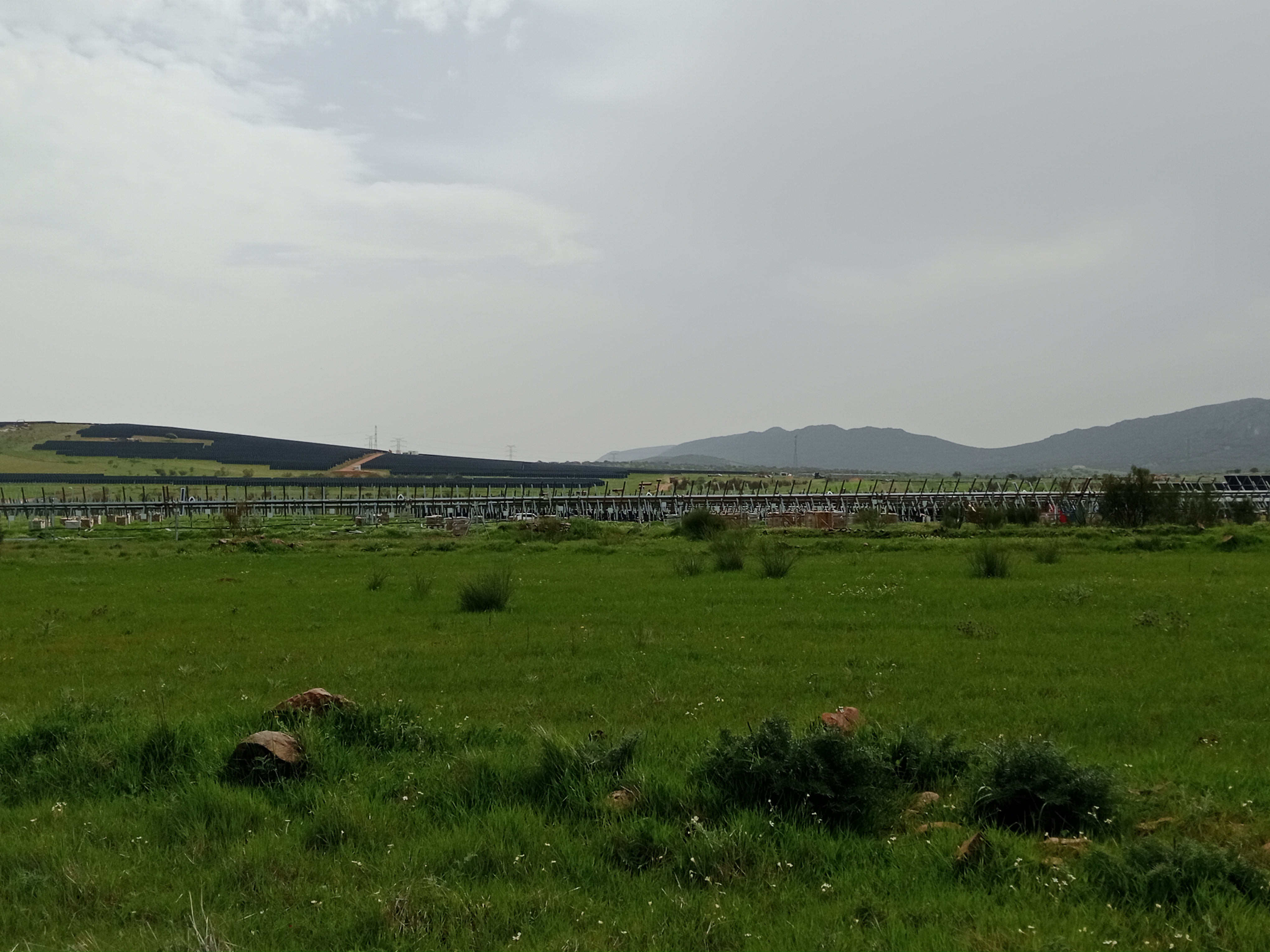 Foto 2 — PLANTA SOLAR FOTOVOLTAICA LAS SISONERAS I